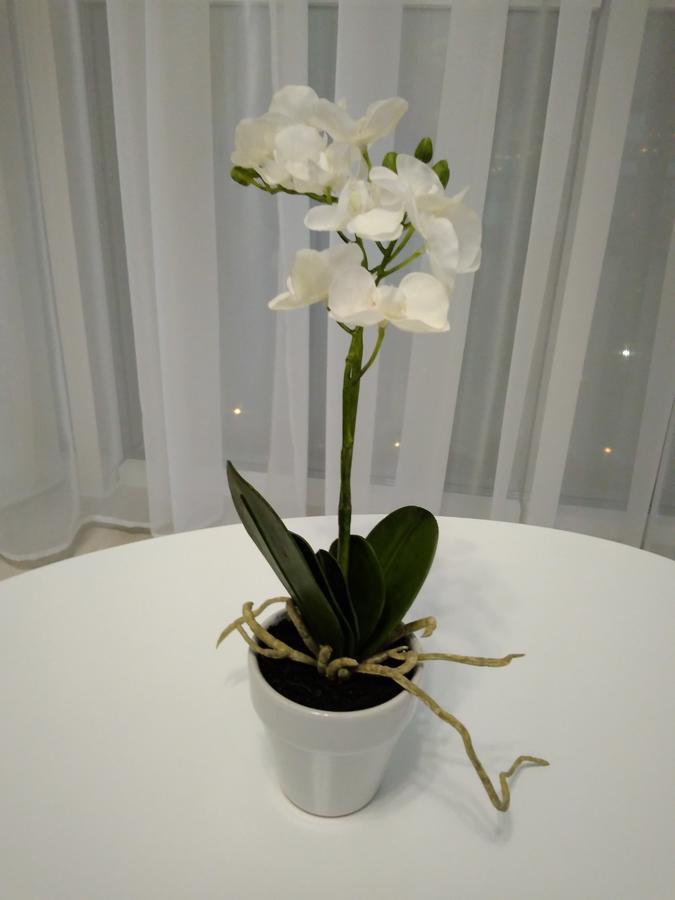 Astashkina Apartment Oldenburg Bagian luar foto